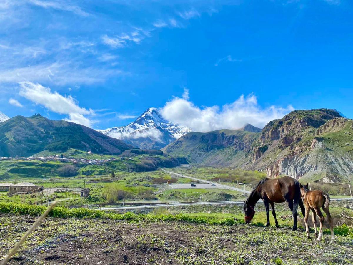 Kazbegi Inn Екстериор снимка